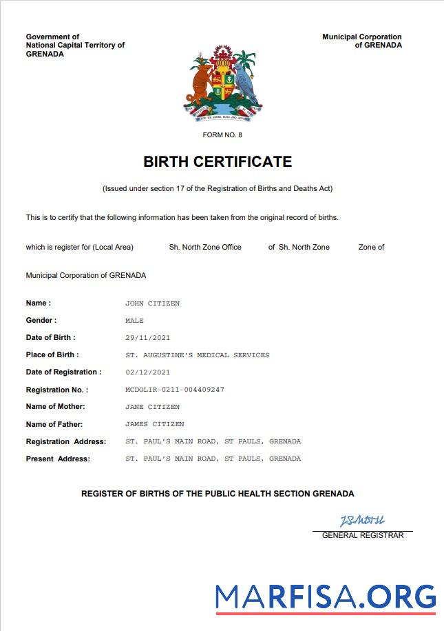 Blank Grenada vital record birth certificate Word and PDF template